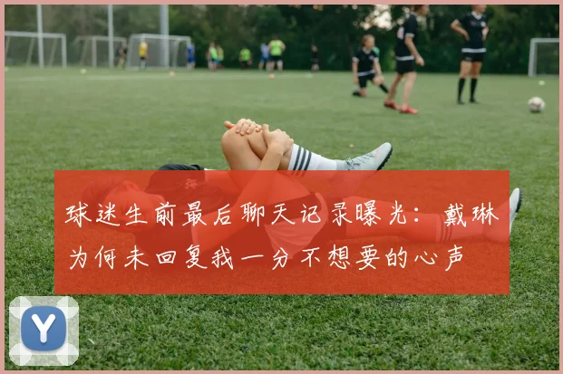 球迷生前最后聊天记录曝光：戴琳为何未回复我一分不想要的心声